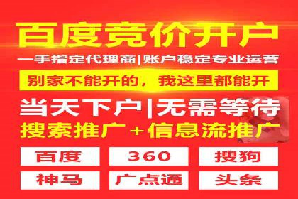 搜索引擎竞价推广：某行业领先企业的成功之路